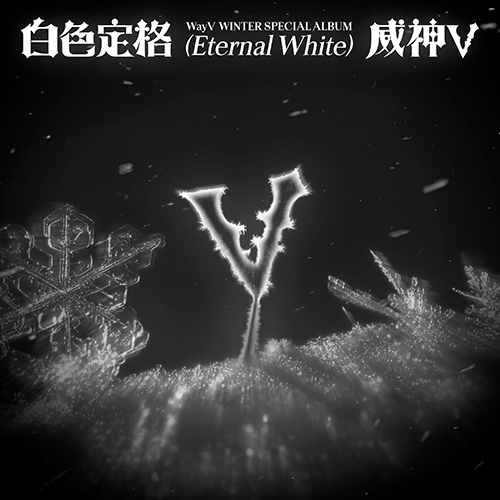 웨이션브이 (WayV) - Winter Special Album : 白色定格 (Eternal White) [Photo Book Ver.][2종 중 1종 랜덤 발송]