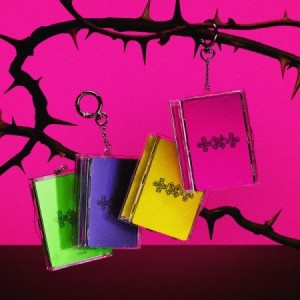 투모로우바이투게더 (TXT) - 7TH YEAR: 가시덤불에 잠시 바람이 멈췄을 때 [Photocard Case Ver.][4종 중 1종 랜덤발송]